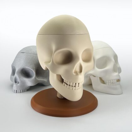 Candy Skull